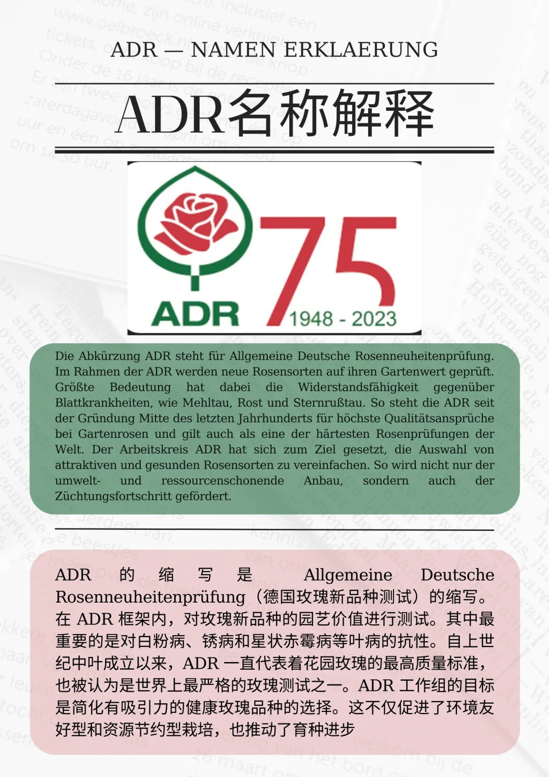 1721610345781758.jpg 什么是ADR认证,ADR月季官网名单