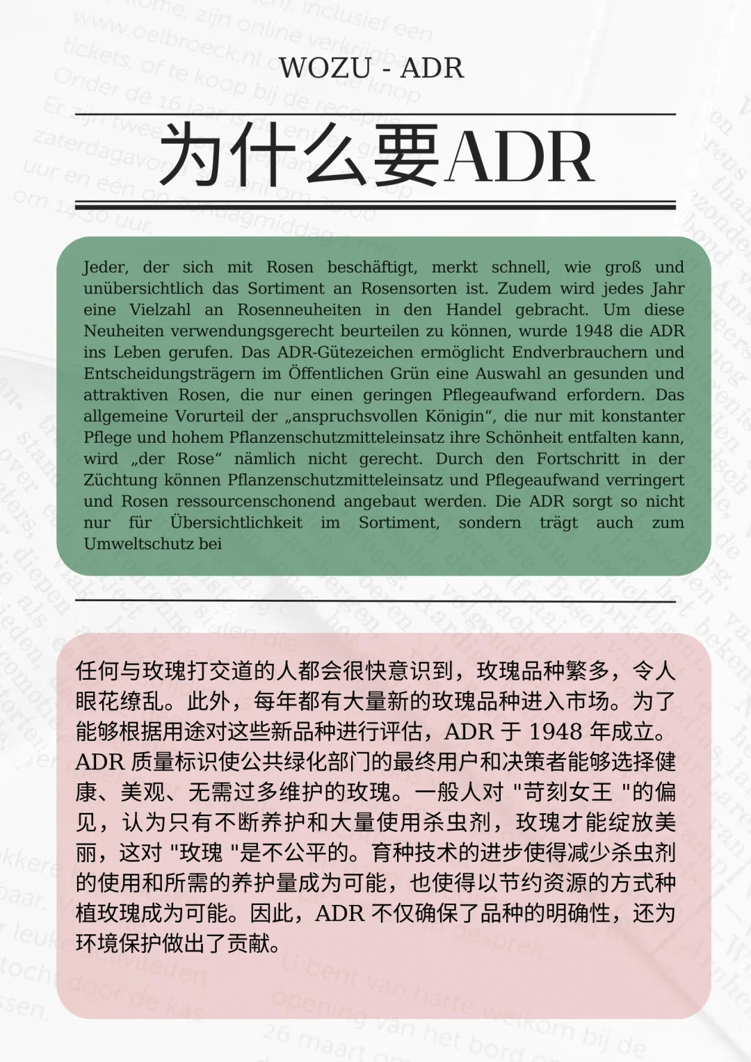1721610345819985.jpg 什么是ADR认证,ADR月季官网名单