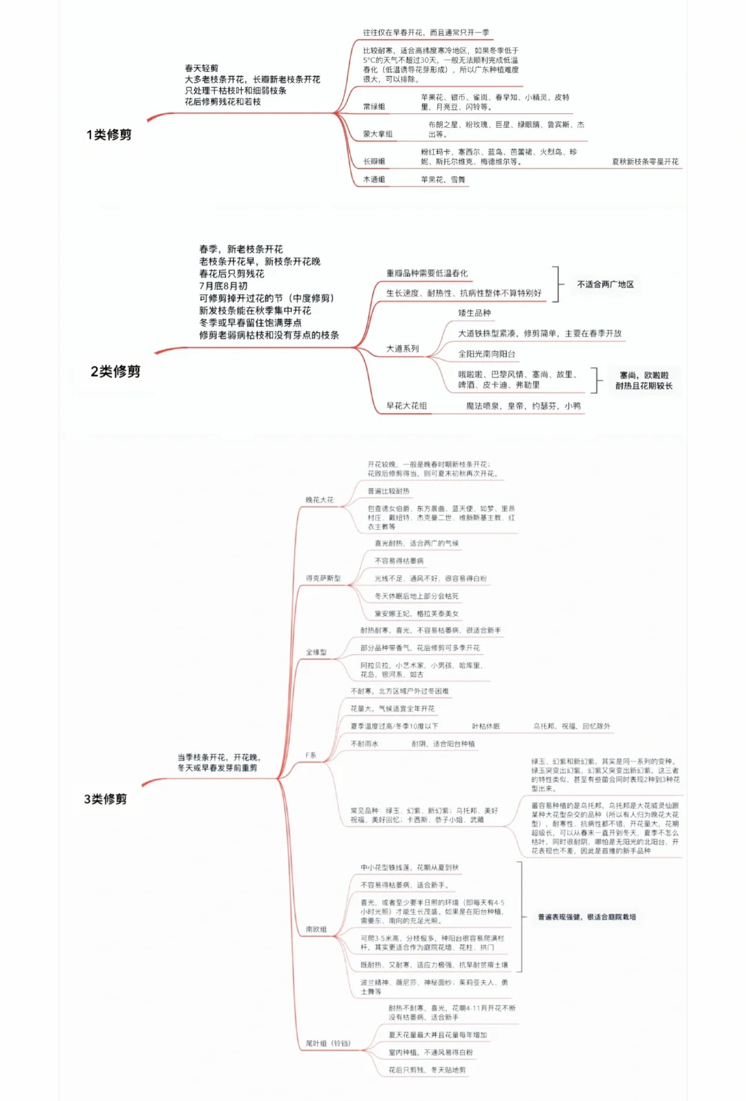 1725847185636342.jpg 铁线莲一类二类三类品种有什么区别?