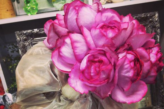 1725947626992586.jpg 伊芙系列开花最大的花