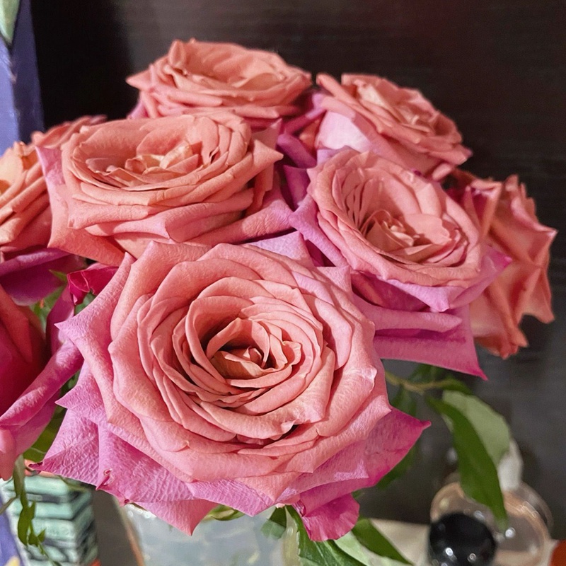 1728631229633215.jpg 月季调香师和咖啡师哪个好