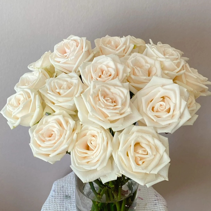 1729925497247401.jpg 芬德拉Vende la