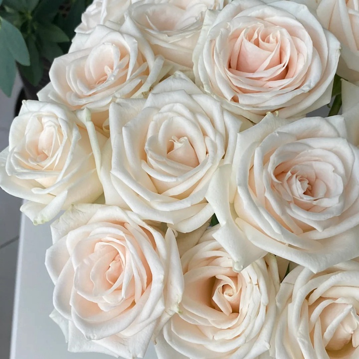 1729925497296923.jpg 芬德拉Vende la
