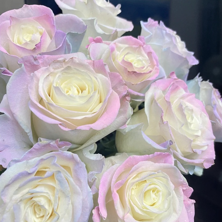 1729926201678652.jpg 欧若拉极光 Aurora Roses Bouquet