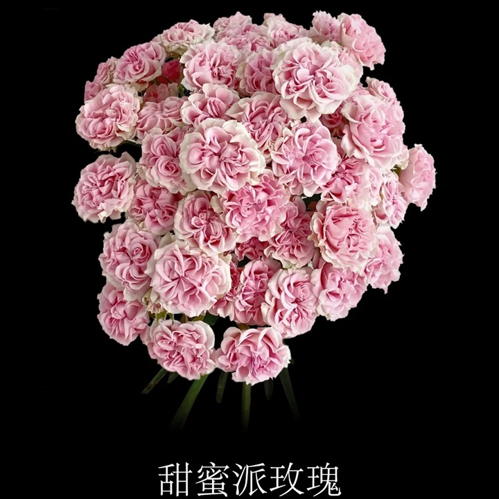 1730101594558181.jpg 甜蜜派