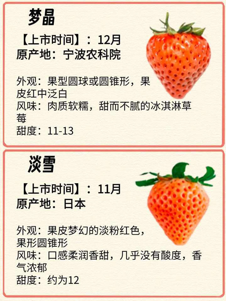 1731029251256958.jpg 常见的12种草莓品种介绍