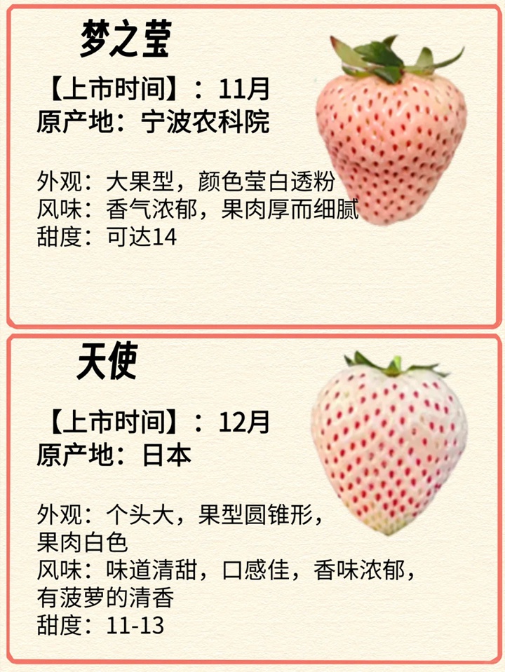 1731029251404836.jpg 常见的12种草莓品种介绍