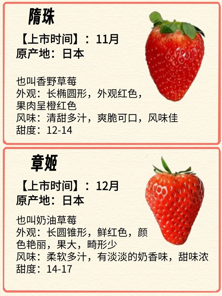 1731029251514541.jpg 常见的12种草莓品种介绍