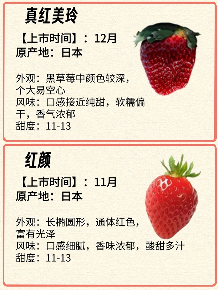 1731029251902535.jpg 常见的12种草莓品种介绍
