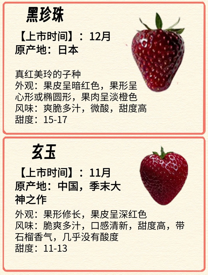 1731029251917036.jpg 常见的12种草莓品种介绍