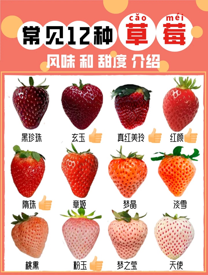 1731029251951085.jpg 常见的12种草莓品种介绍