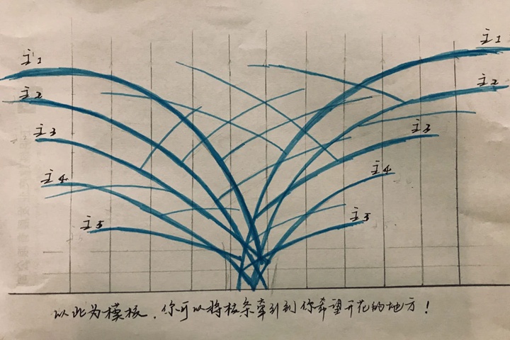 1731632852588433.jpg 藤本月季的修剪和牵引详细攻略
