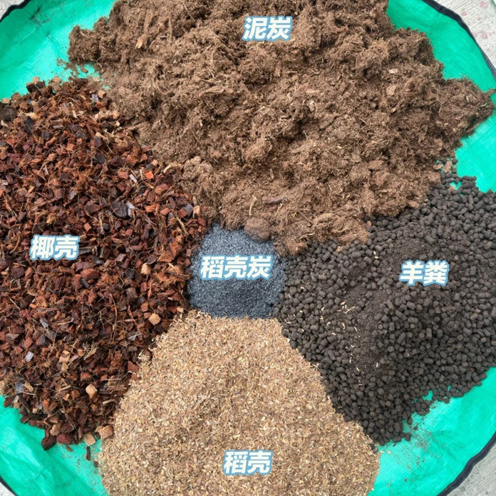 1733363176404116.jpg 月季盆栽配土方法