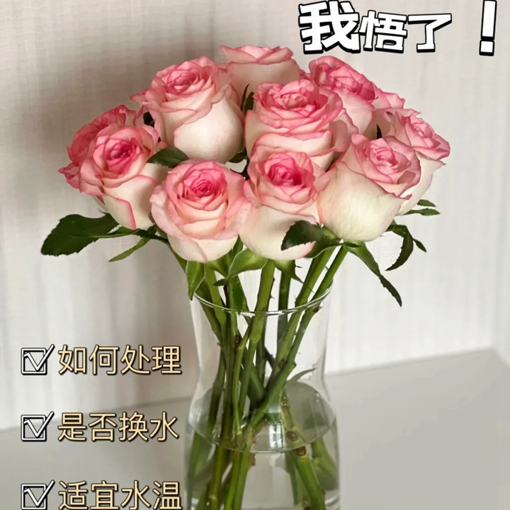 1733710888913500.jpg 瓶插月季花应怎样保鲜