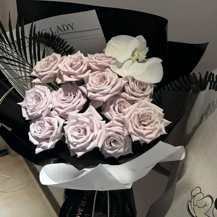 1734421866708747.jpg 曼塔玫瑰的花语和象征寓意