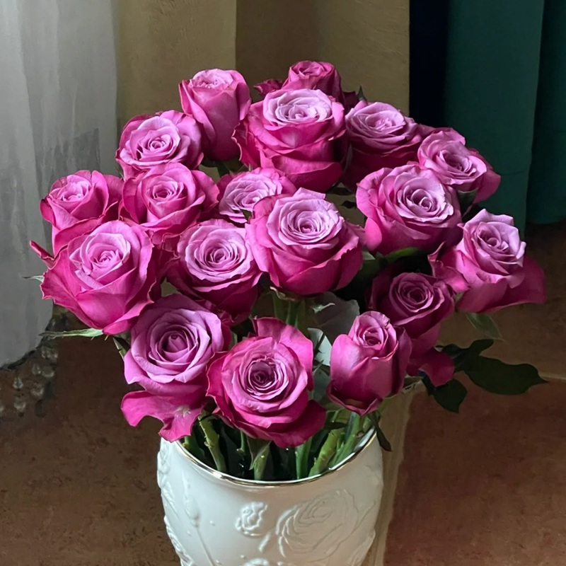 1735813016724584.jpg 送人紫色月季花代表什么