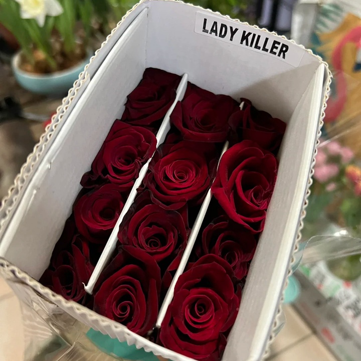 1736574973583290.jpg 女士杀手Lady Killer