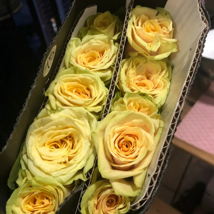 1736737522537159.jpg 奇迹花园