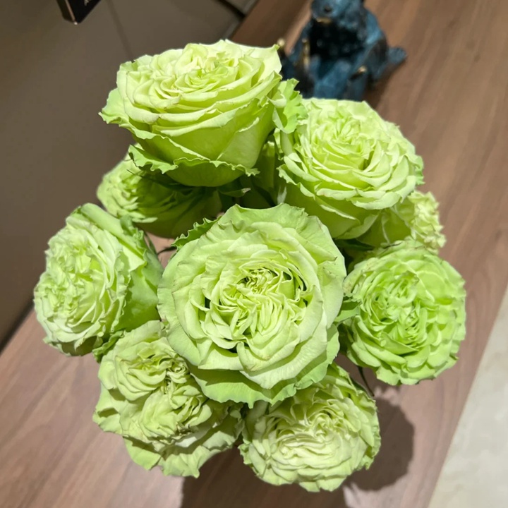1736841380435272.jpg 抹茶 Matcha