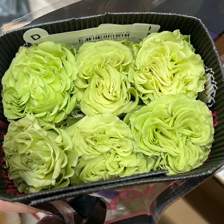 1736841380459531.jpg 抹茶 Matcha
