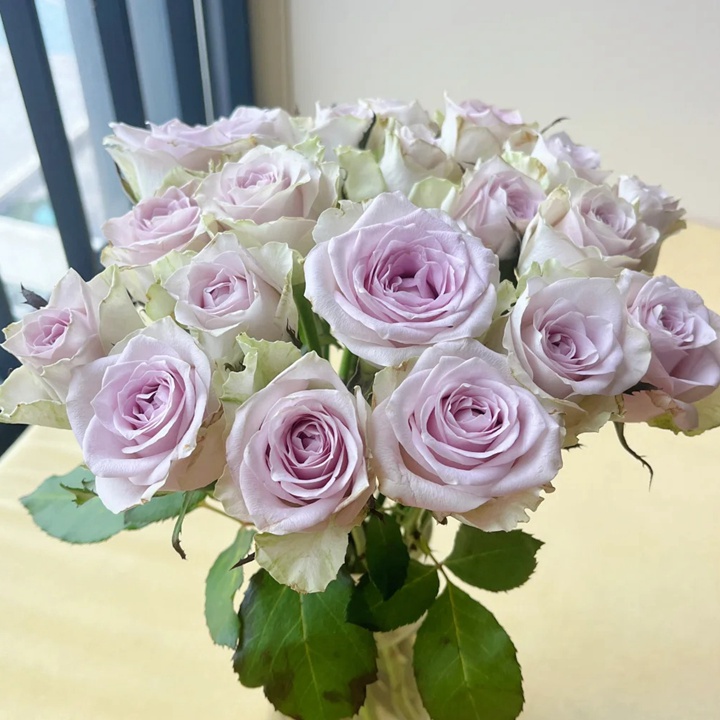 1736910108117723.jpg 海洋之谜 Fifth Avenue
