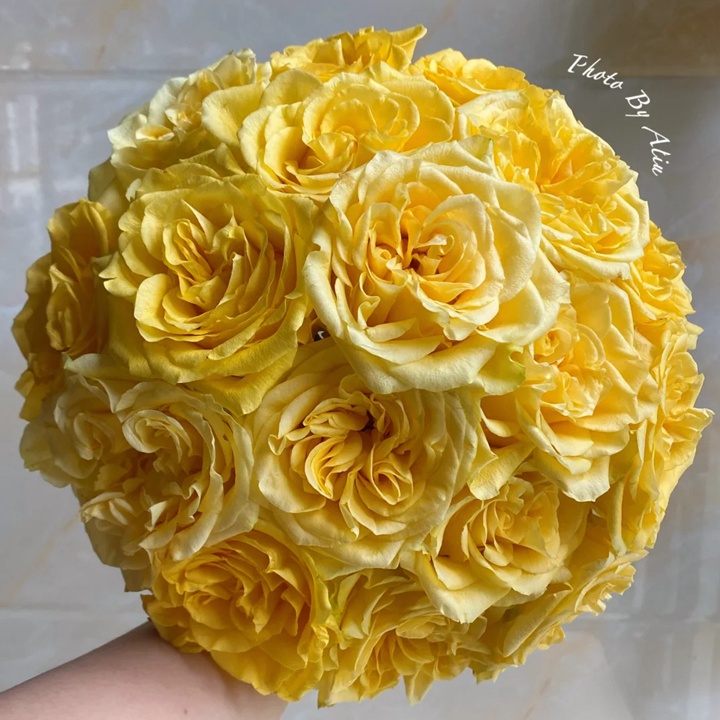 1738739325856194.jpg 乡村阳光 Country Sun