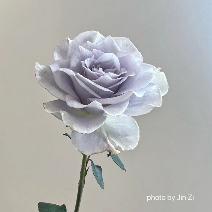 1738825252119543.jpg 蓝色引力 Blue gravity