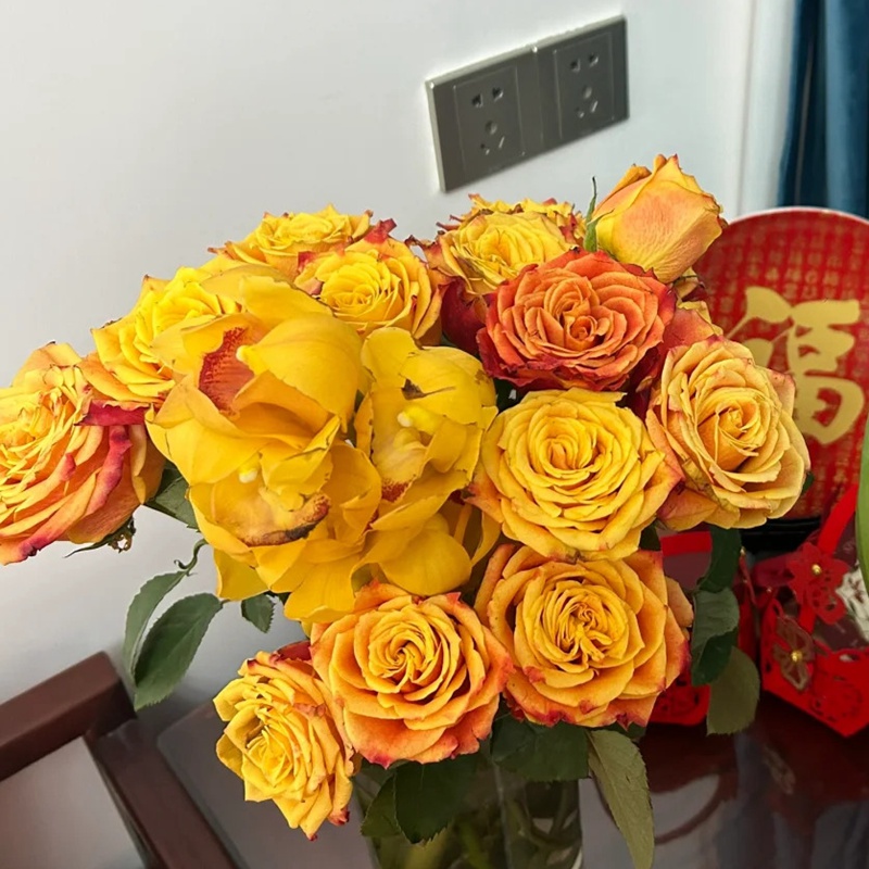 1742181028295758.jpg 切花火焰