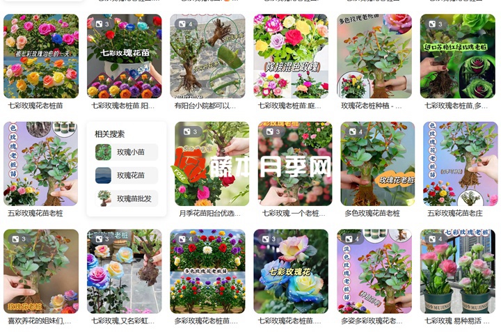 1742518216219824.jpg 花卉界的奇葩假货植物大盘点