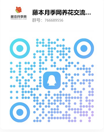 1742519425327110.jpg 花卉界的奇葩假货植物大盘点