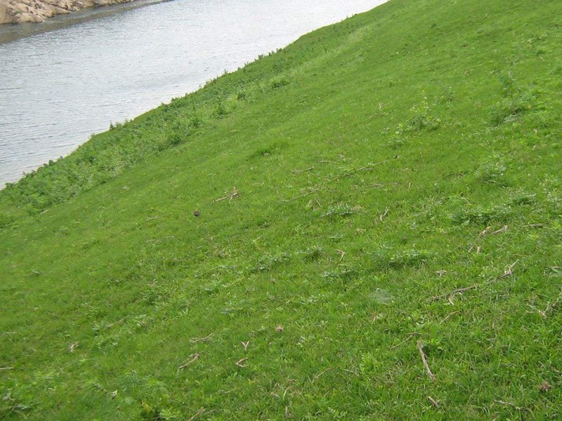 1749715589368314.jpg 什么是河道护坡工程