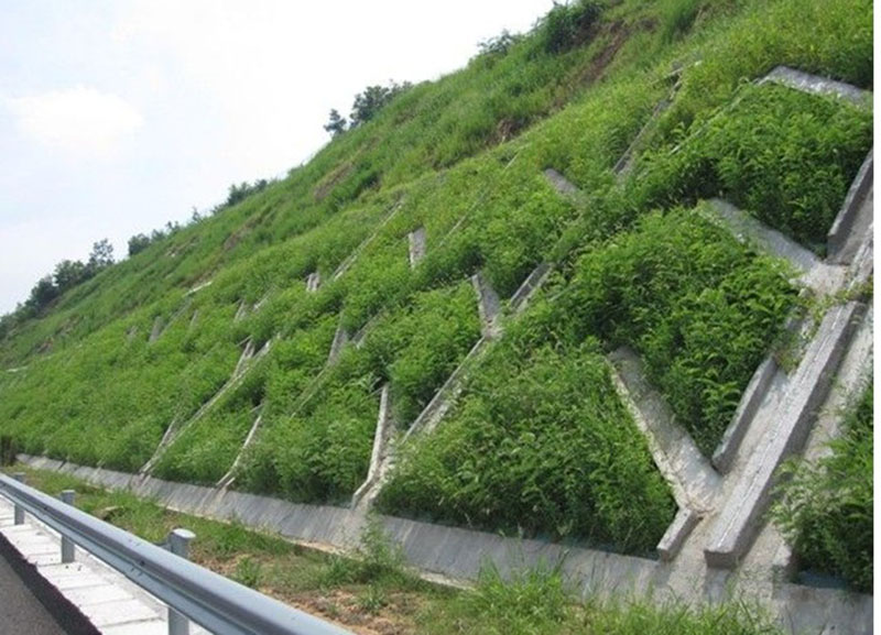 1750484630304483.jpg 植草护坡包工包料多少钱?