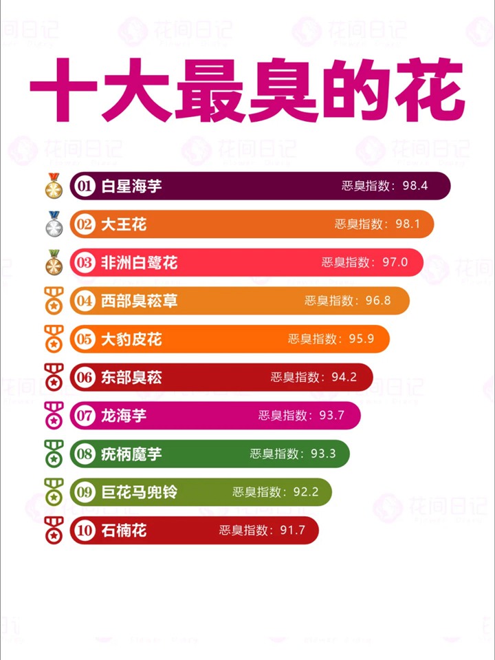 1750921836370293.jpg 世界上最大最臭的花