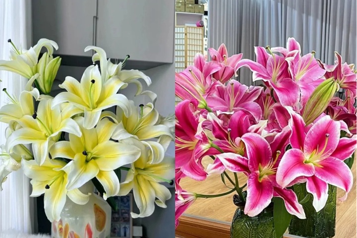1751698323522546.jpg 香水百合花有毒吗?