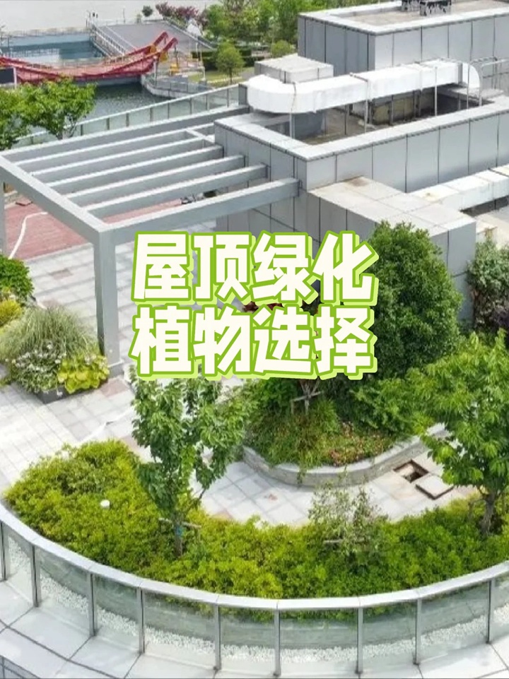 1757121574384330.jpg 屋顶花园适合种哪些植物