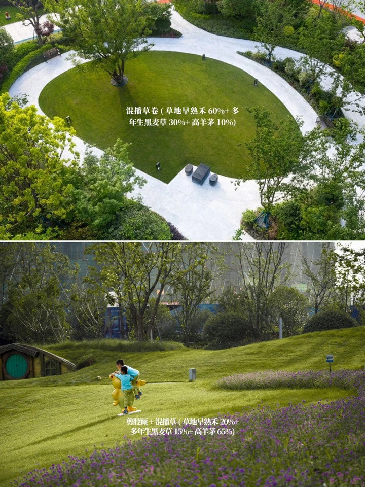 1757659376357066.jpg 花园草坪用什么品种好