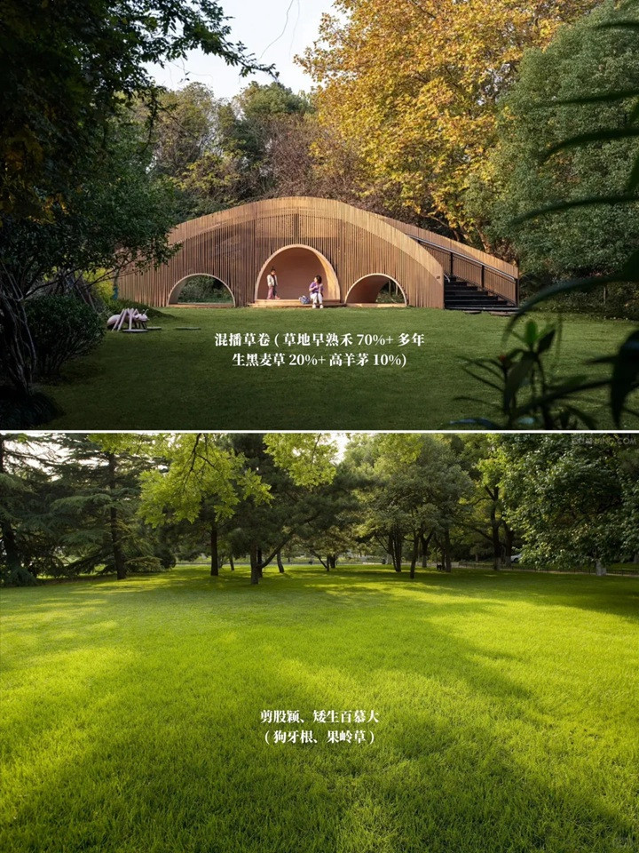 1757659376398167.jpg 花园草坪用什么品种好