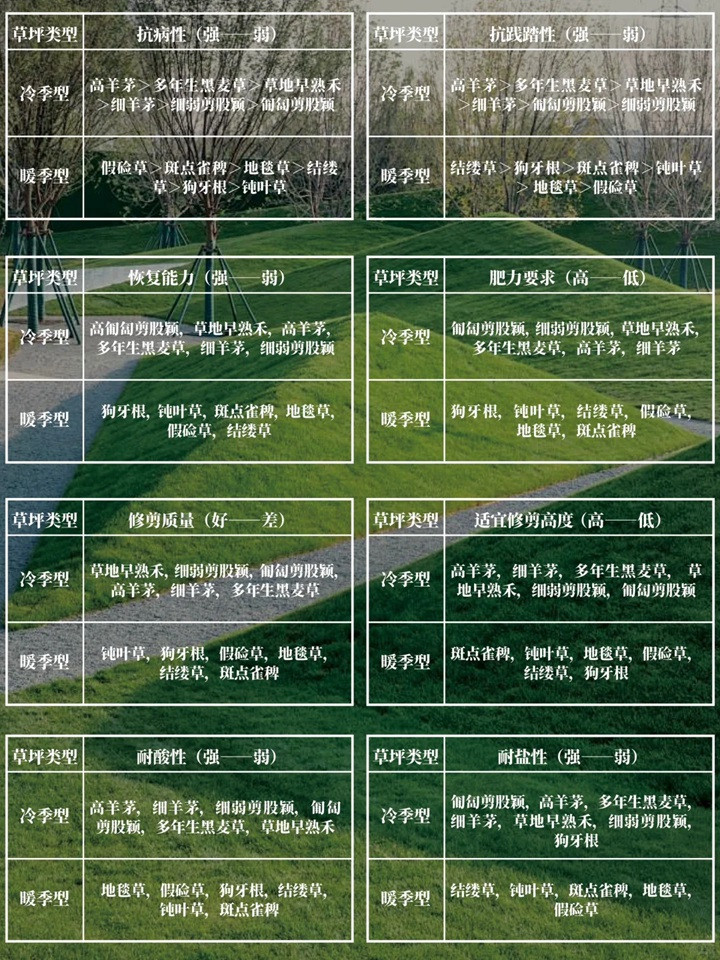 1757659376958390.jpg 花园草坪用什么品种好