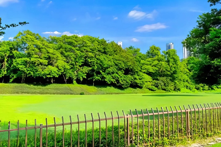 1758078008326491.jpg 剪股颖可以和哪些草坪混播