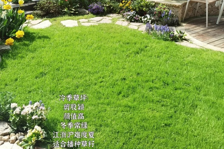 1758092533685254.jpg 江浙沪地区草坪品种如何来选择