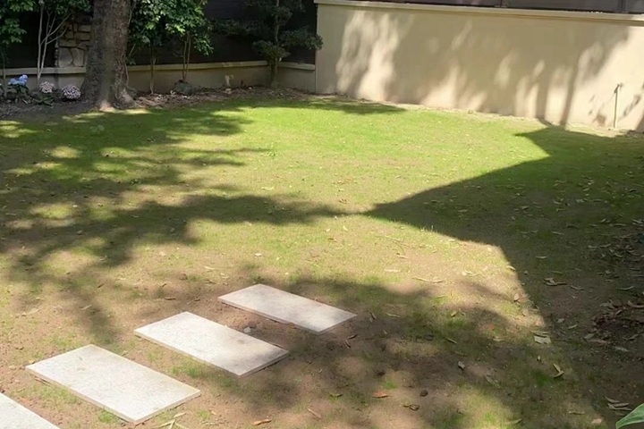 1758094987930527.jpg 剪股颖从播种到成坪要多久