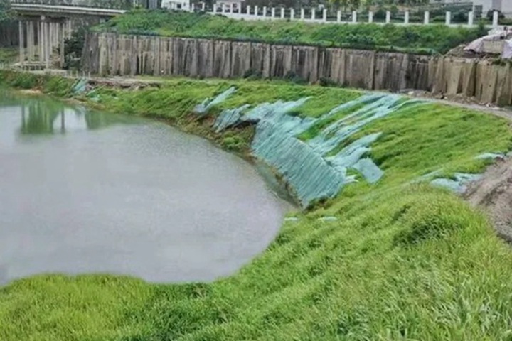 1758177659249867.jpg 四季青护坡草籽
