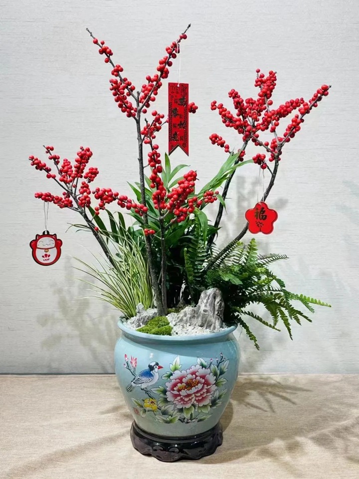 1764125506541782.jpg 冬青的花语和象征寓意