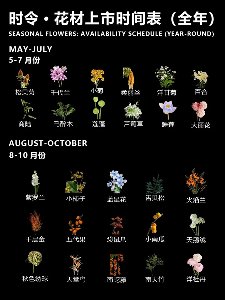 1764386908111799.jpg 一月到十二月的时令花卉
