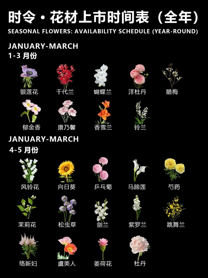 1764386908115195.jpg 一月到十二月的时令花卉