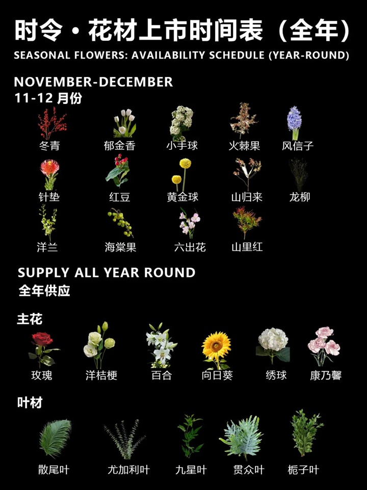 1764386908666601.jpg 一月到十二月的时令花卉