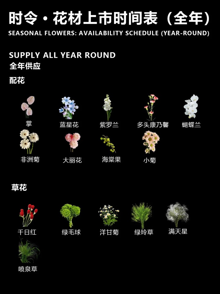1764386908912857.jpg 一月到十二月的时令花卉