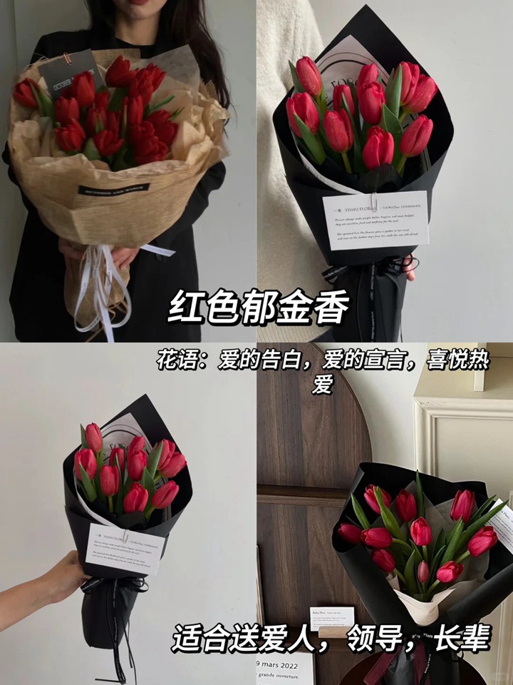 1764744849314082.jpg 郁金香的花语和象征意义