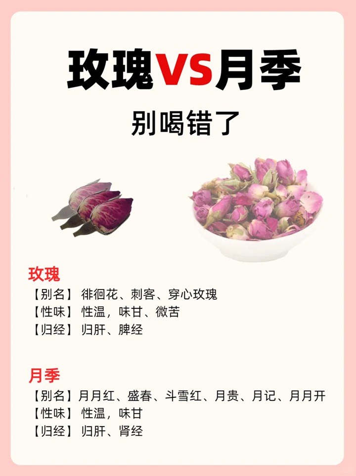 1766456662297775.jpg 月季花能不能食用