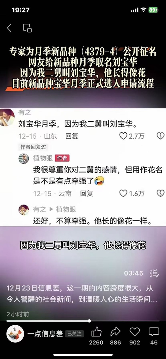 1766631762931243.jpg 宝华